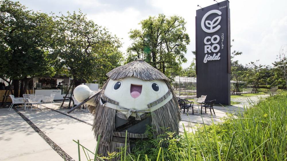 Coro Field