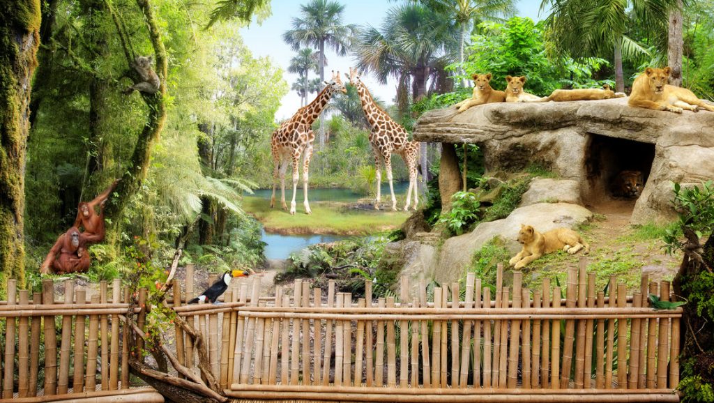 Khao Prathap Chang Open Zoo